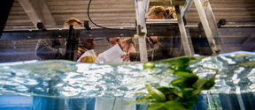 A group of people at a fish tank, photo: Aalto University/Mikko Raskinen.