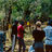 Group of people standing outside of a fenced apiary with beehives observing the bees.