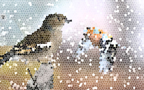 Graphic illustrating two birds 