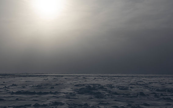 Agulhasin märssykorissa otettu kuva.