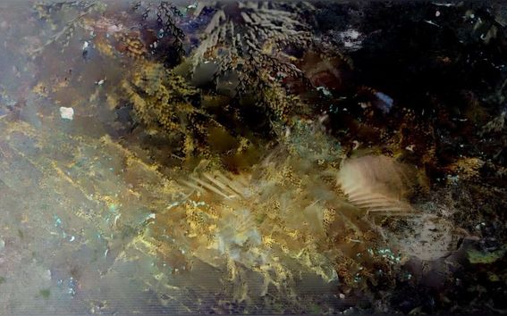 abstract image of green and dark textures