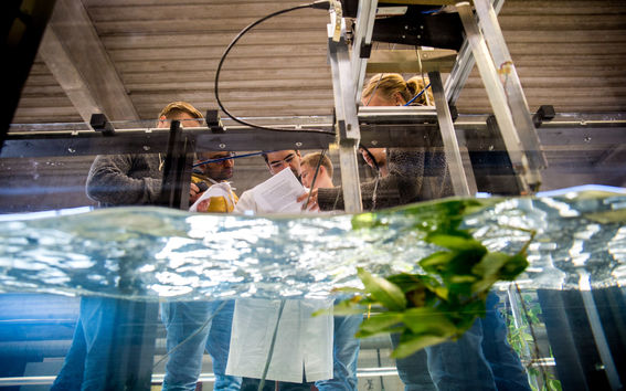 A group of people at a fish tank, photo: Aalto University/Mikko Raskinen.