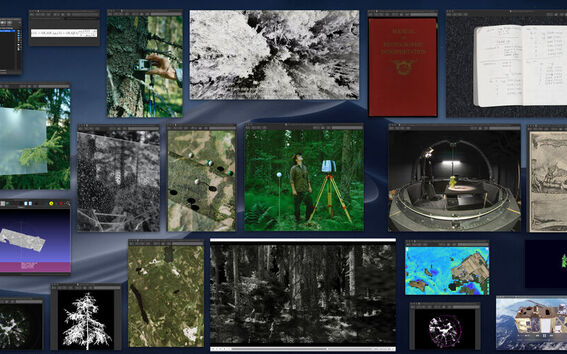 computer desktop filled with different images such a picture of a tree and a house