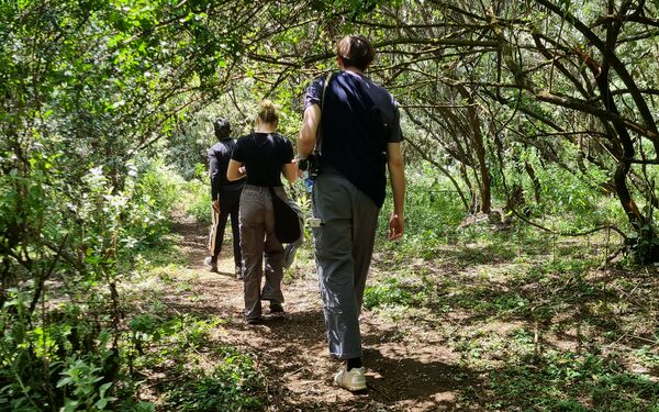 Three people walking through a sub-saharan forest.