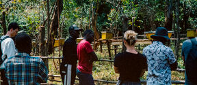 Group of people standing outside of a fenced apiary with beehives observing the bees.