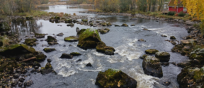 A view of the Ämmäkoski rapids in Varkaus, Finland. Water, rocks, forests in the background.