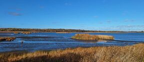 Blue sky near Otaniemi beach
