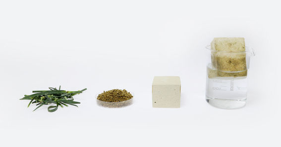 Image from remote site: ourblogs.aalto.fi