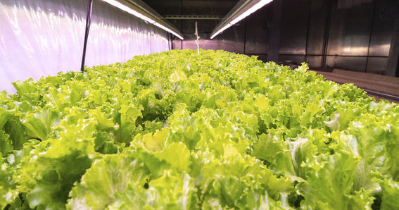 Image from remote site: ourblogs.aalto.fi