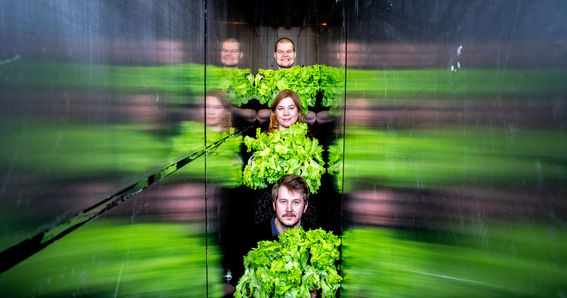 Image from remote site: www.aalto.fi