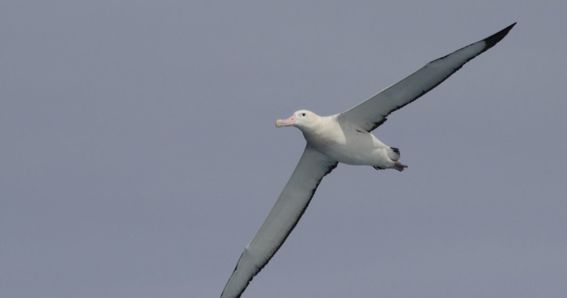 Image from remote site: ourblogs.aalto.fi