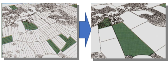 Land consolidation process.