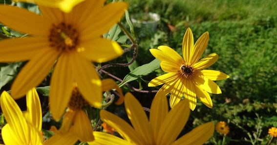 Image from remote site: www.aalto.fi