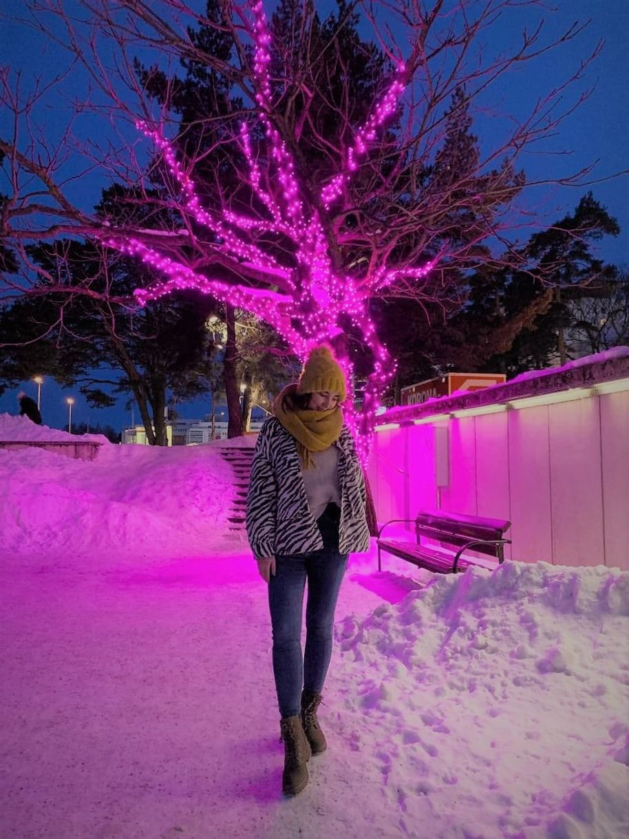 Location near the ice-skating rink, beautiful tree shining in pink 