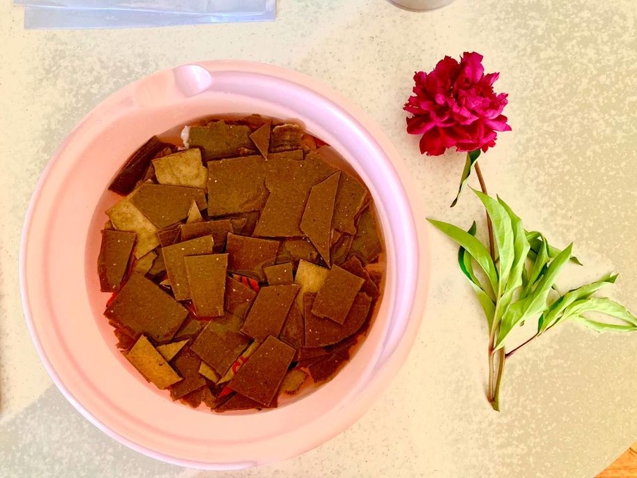 A flower and some bio-based material 