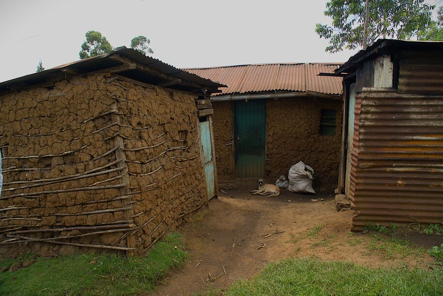 A Dog laying on ground infront of three kenyan houses from mud and sticks