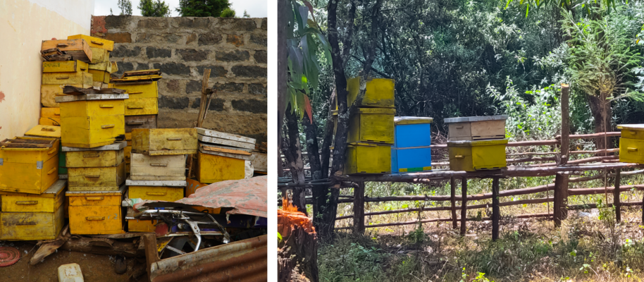 Piled up langstroth-style beehives, and langstroth beehives on wooden poles in an apiary.
