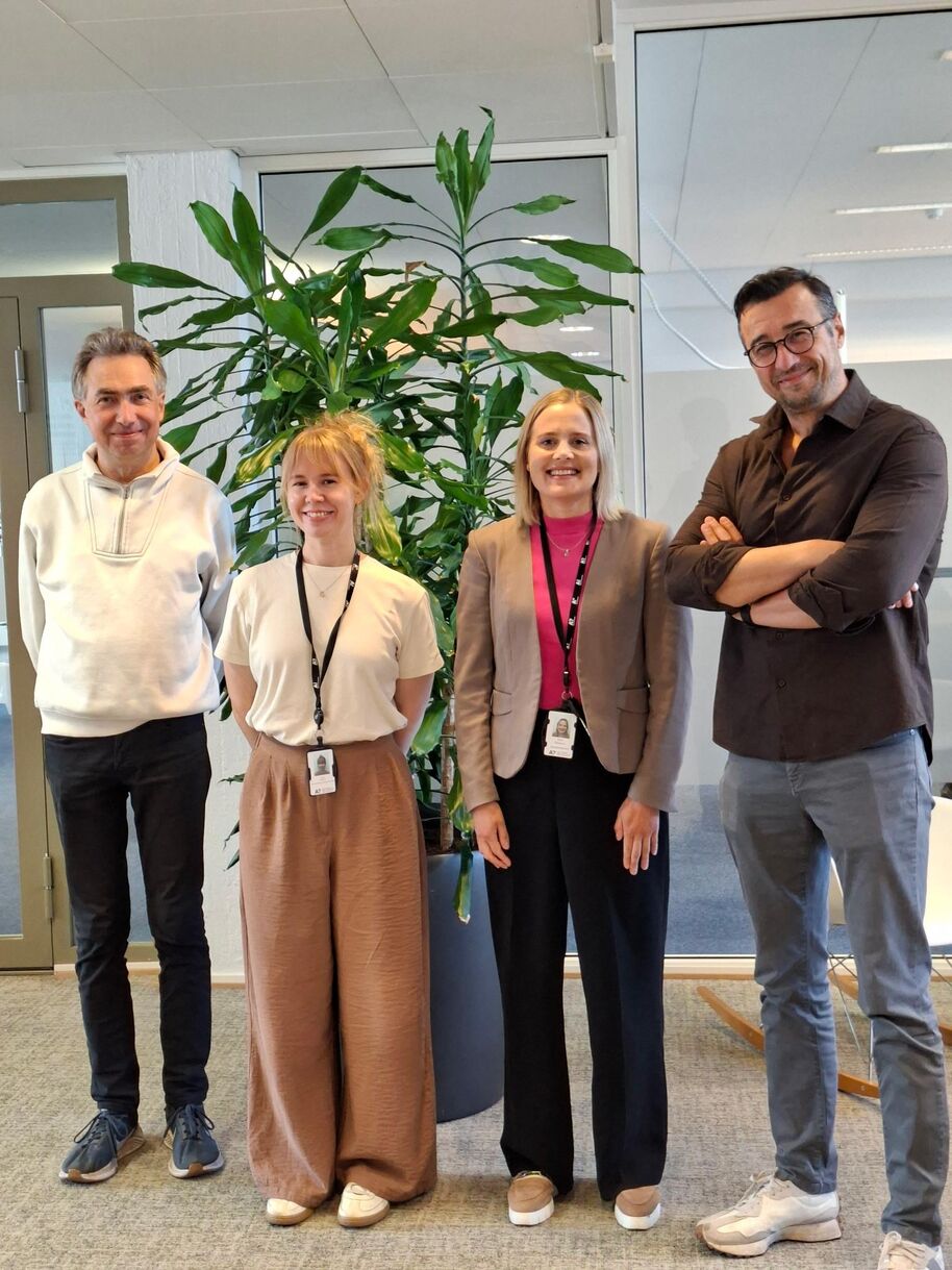The project team