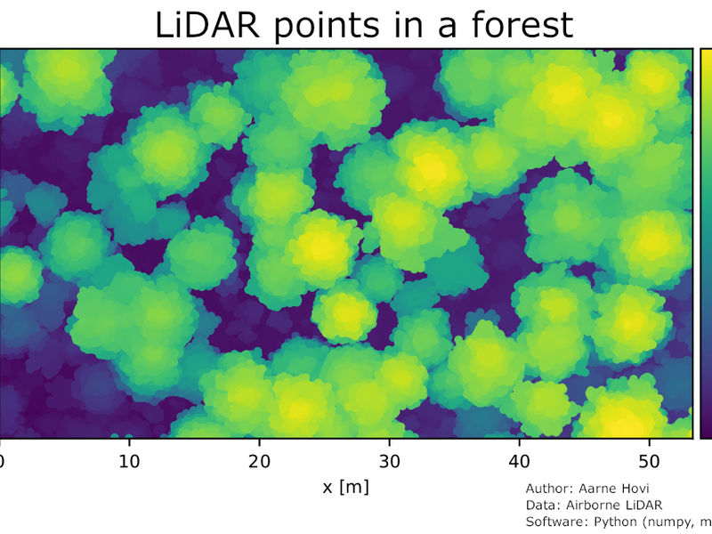 lidar points in a forest