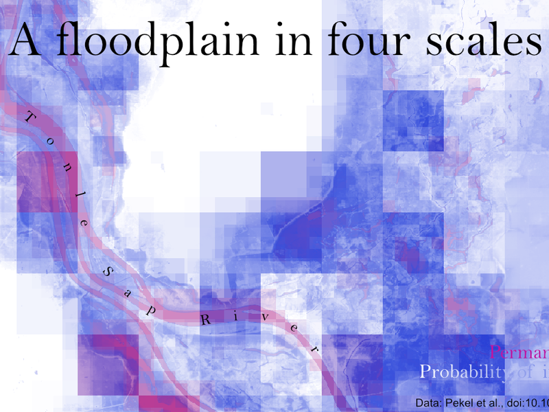 floodplain scale