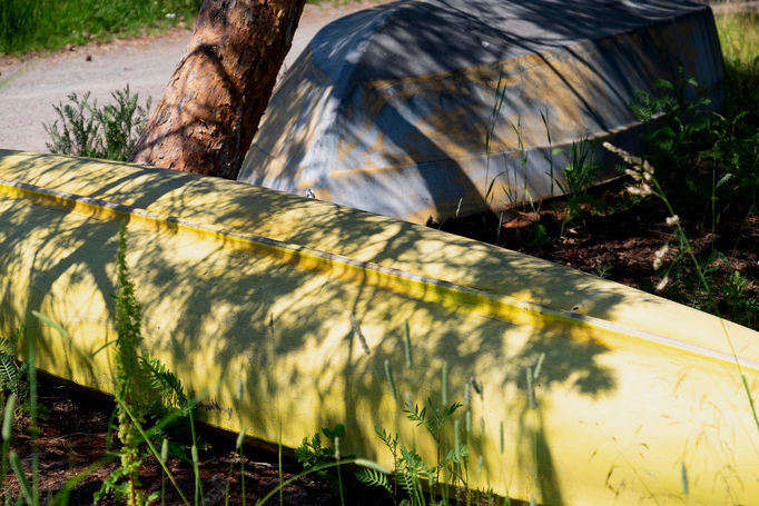 Overturned yellow and blue boat by tree trunk