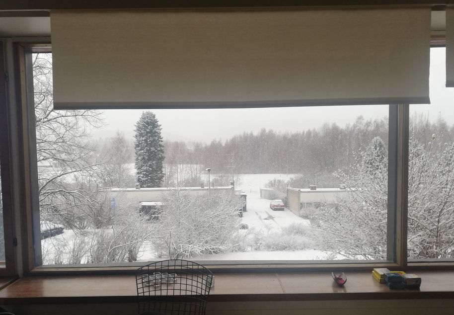 Winter view from the window 